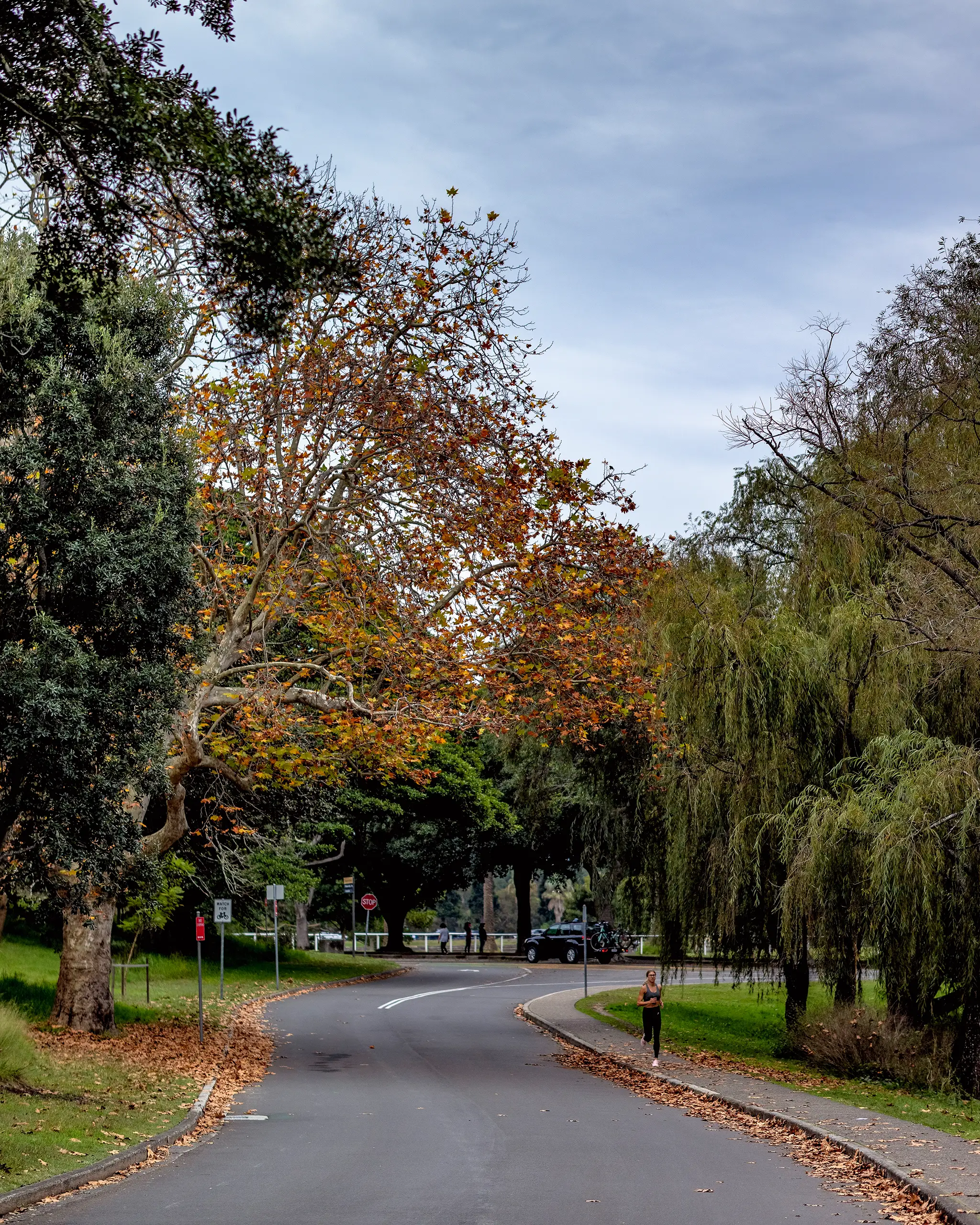 Centennial Park