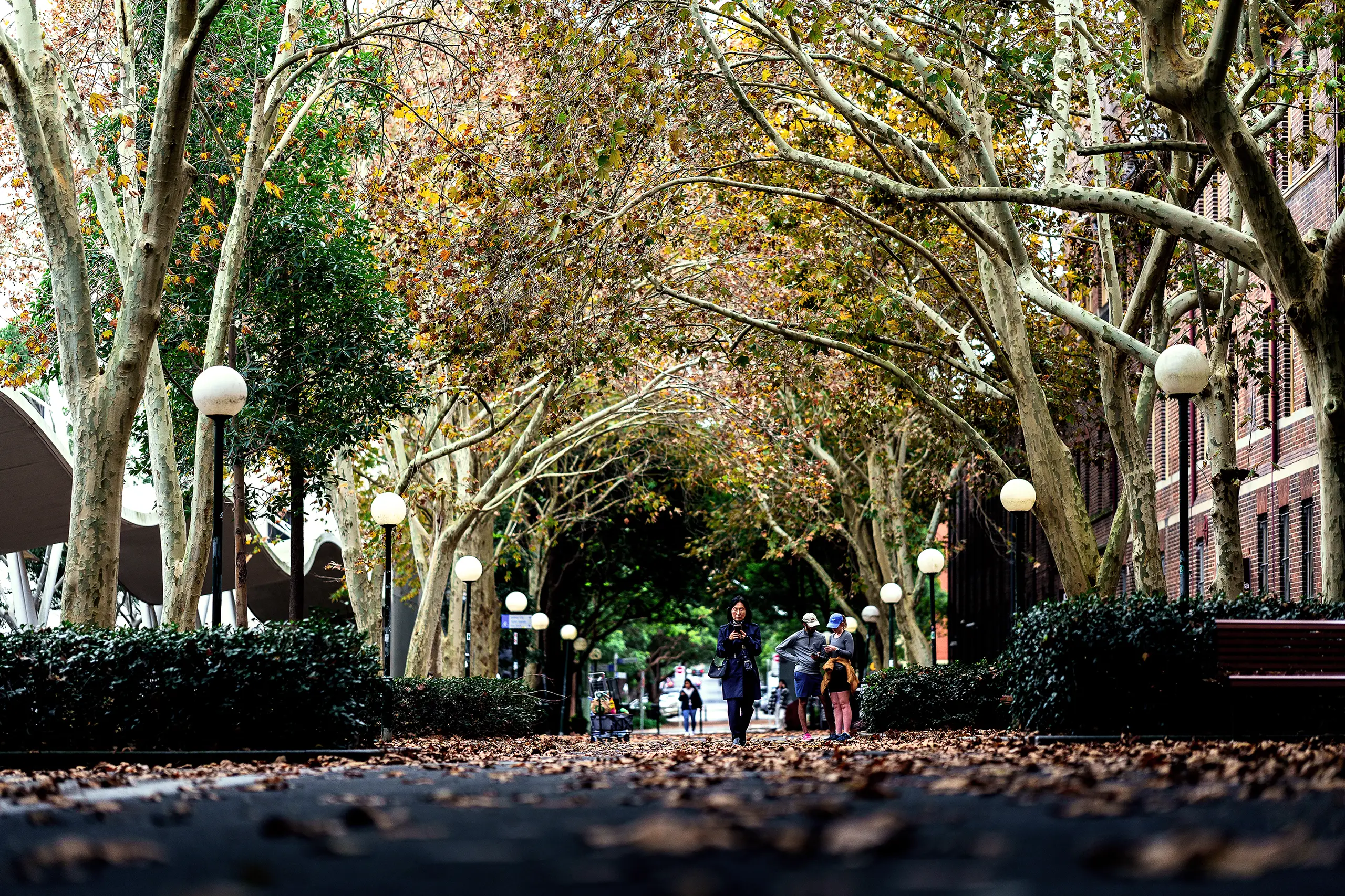 Women walking in leave covered path
